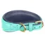 Shires Digby and Fox Padded Greyhound Collar - Teal